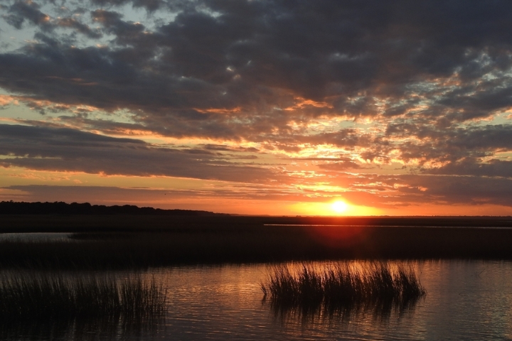 Things To Do Hammocks Beach State Park